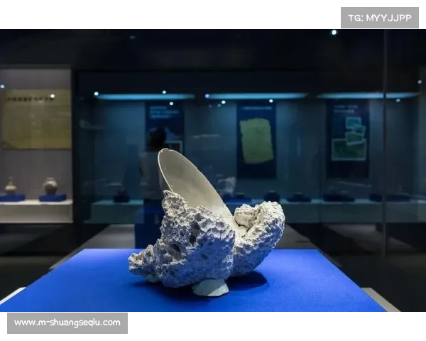 重庆赛区水下考古发现汉代水利遗迹展现历史与现代赛事融合之美