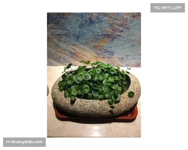 观点分析：量级合并传闻再起，男子蝇量级与雏量级是否面临生存危机？